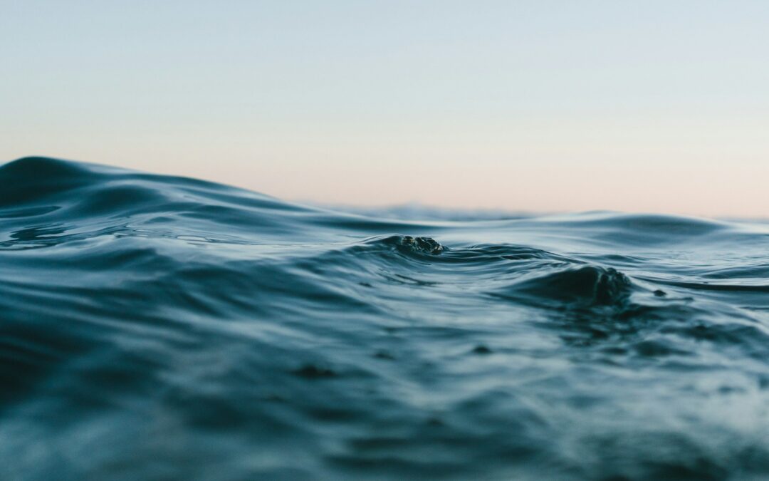 Foreign Office Minister joins APPG to discuss high seas treaty